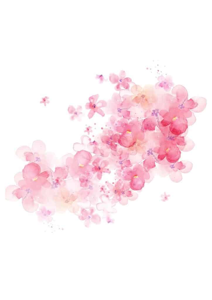 Watercolor illustration of delicate pink flowers, creating a soft, romantic floral arrangement on a white background.