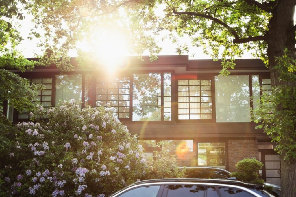 Modern house exterior with large windows, surrounded by lush greenery in sunlight with blooming purple flowers.