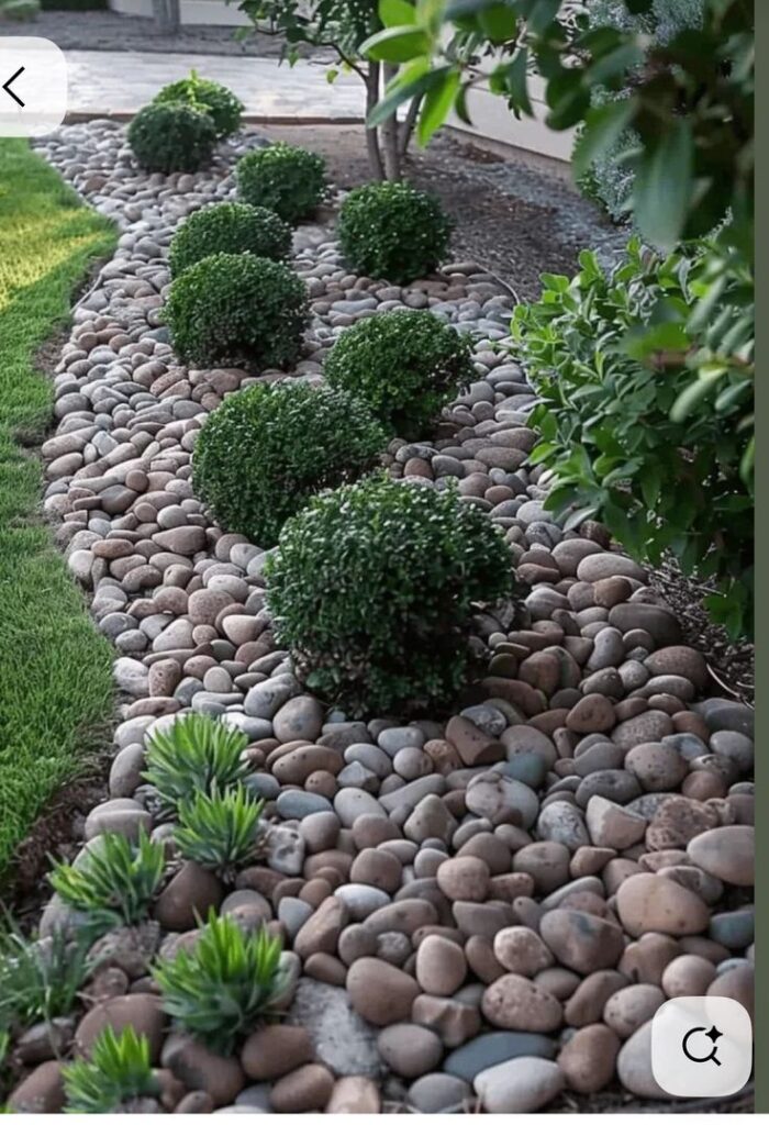 Beautiful garden with lush shrubs and smooth pebble landscaping, perfect for modern outdoor design.