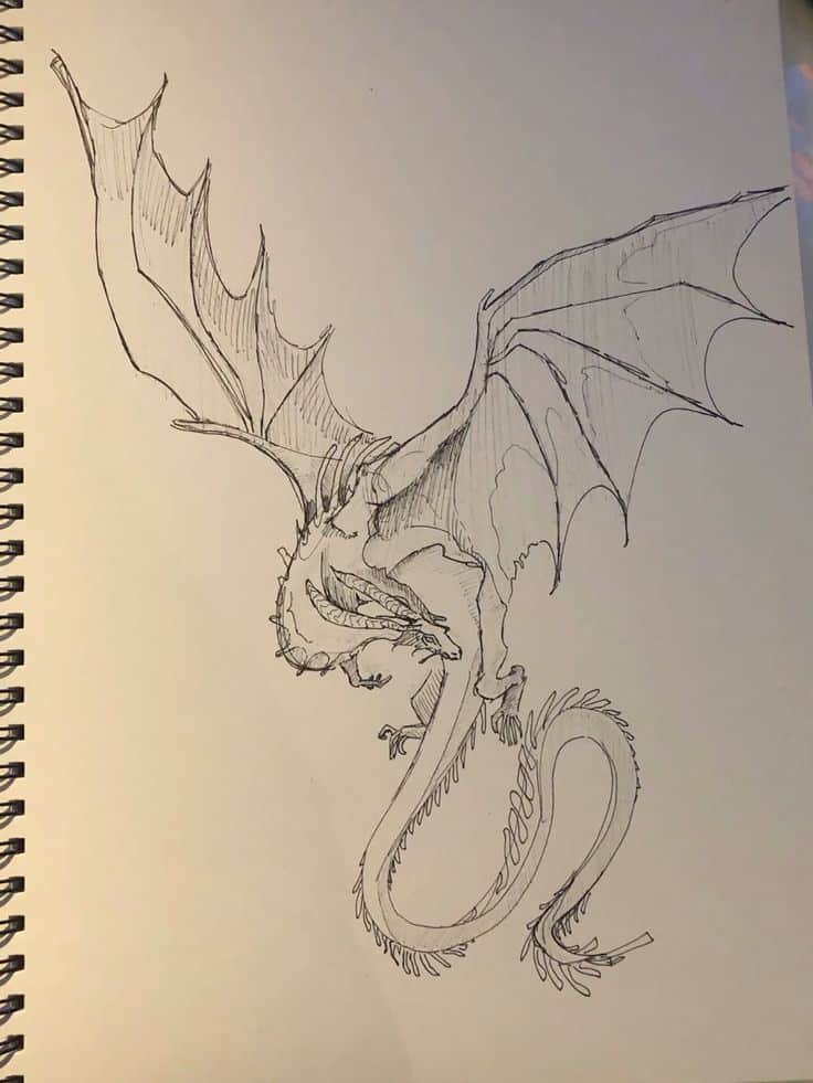 Black and white sketch of a dragon with intricate wings and tail in a notebook.