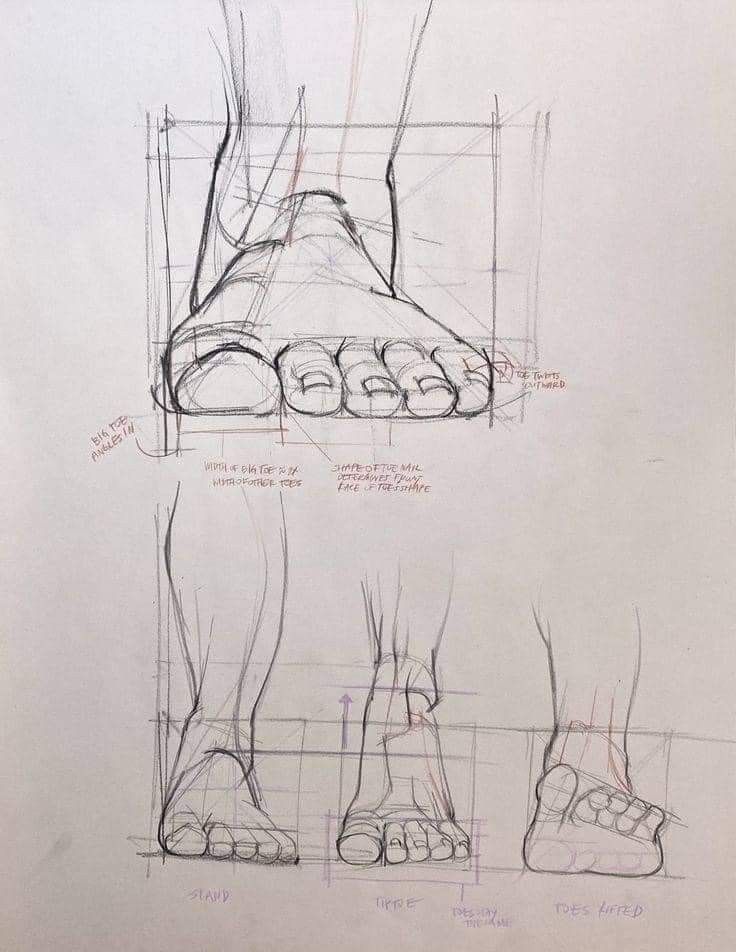 Sketch of a foot showing perspective and proportion studies, highlighting toe positions and angles.