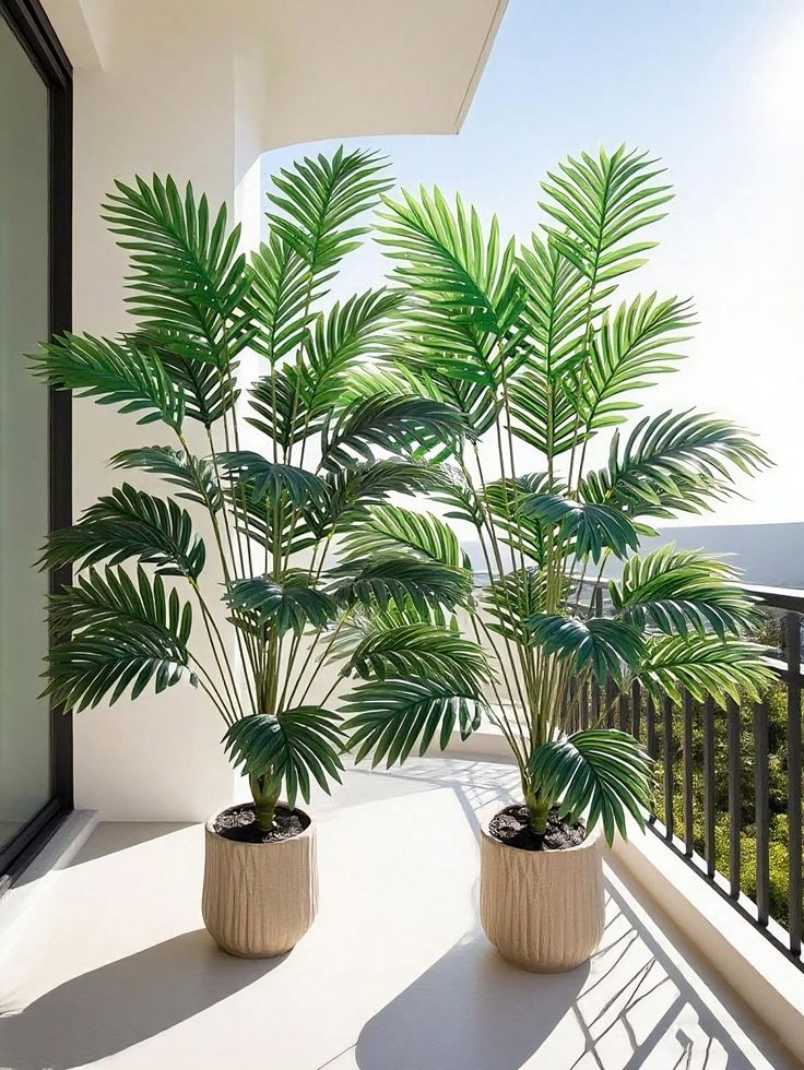 Potted palm plants on a sunny balcony with a view, offering a refreshing outdoor vibe and modern home decor.