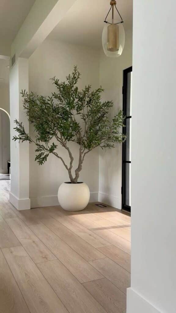 Modern interior with large potted plant, wooden floor, and elegant pendant light.