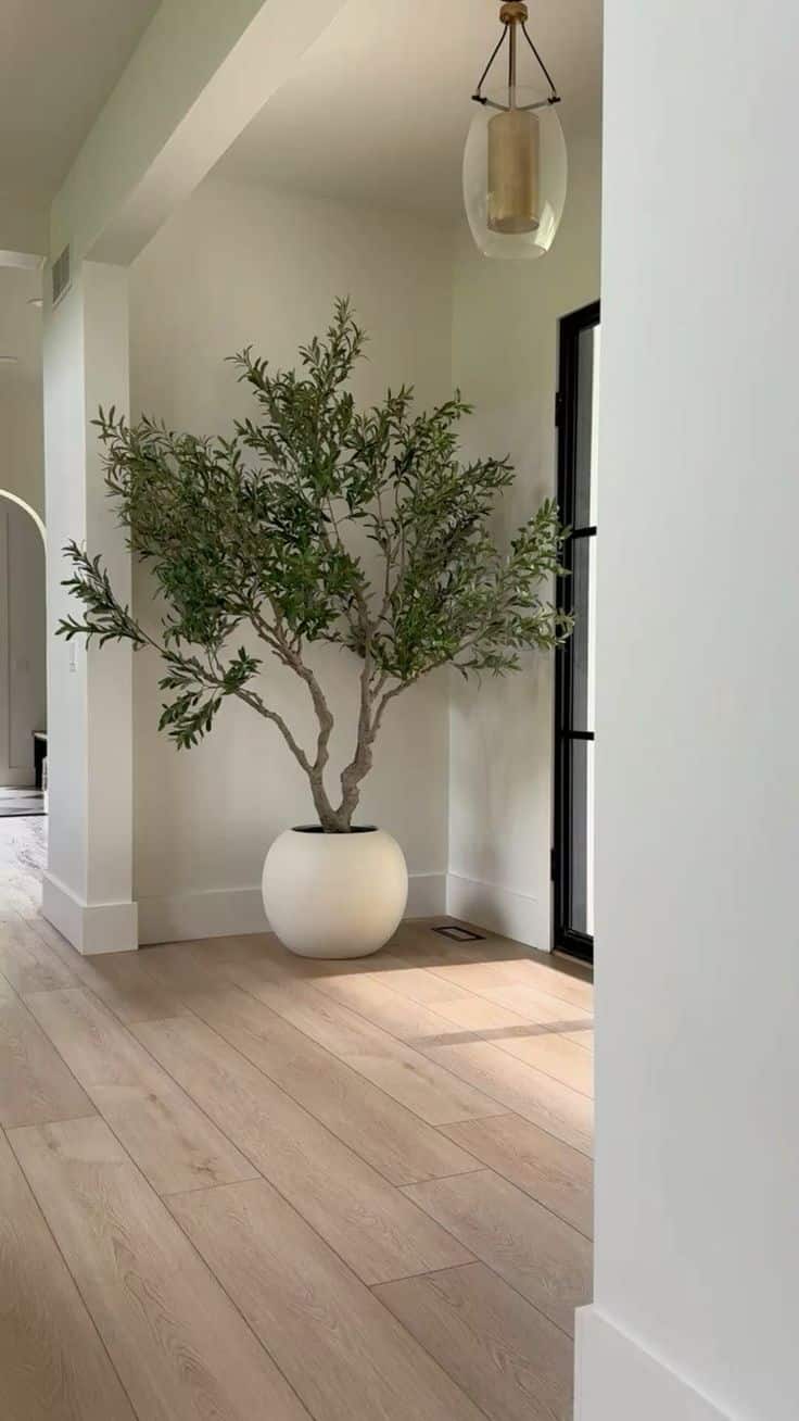 Greenery In House Smart Interior Design: Affordable Tips for a Beautiful Home