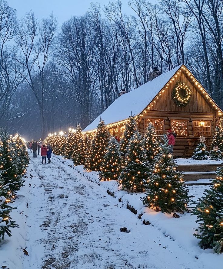 Cozy snow-covered cabin with festive lights and Christmas trees in a winter forest, creating a magical holiday scene.