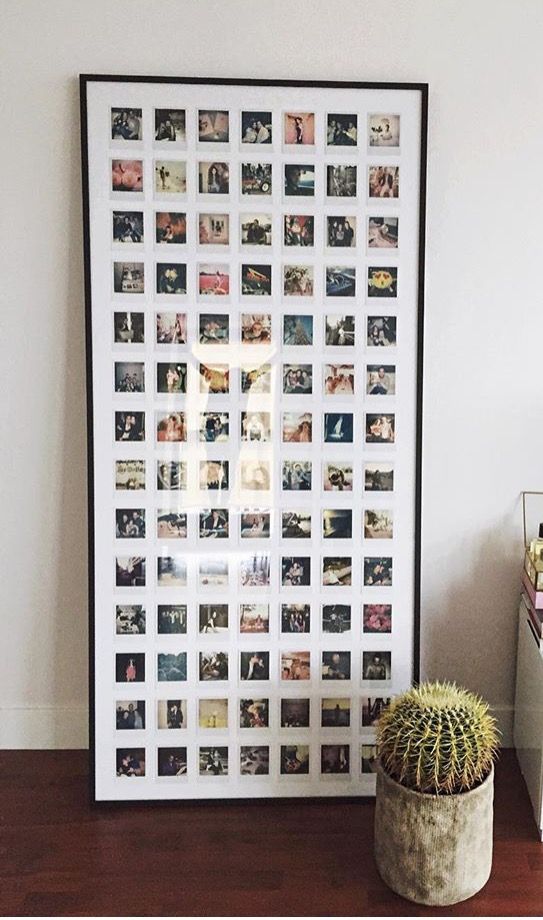 Collage of many polaroid photos in a frame next to a cactus in a pot, displayed on a wooden floor.