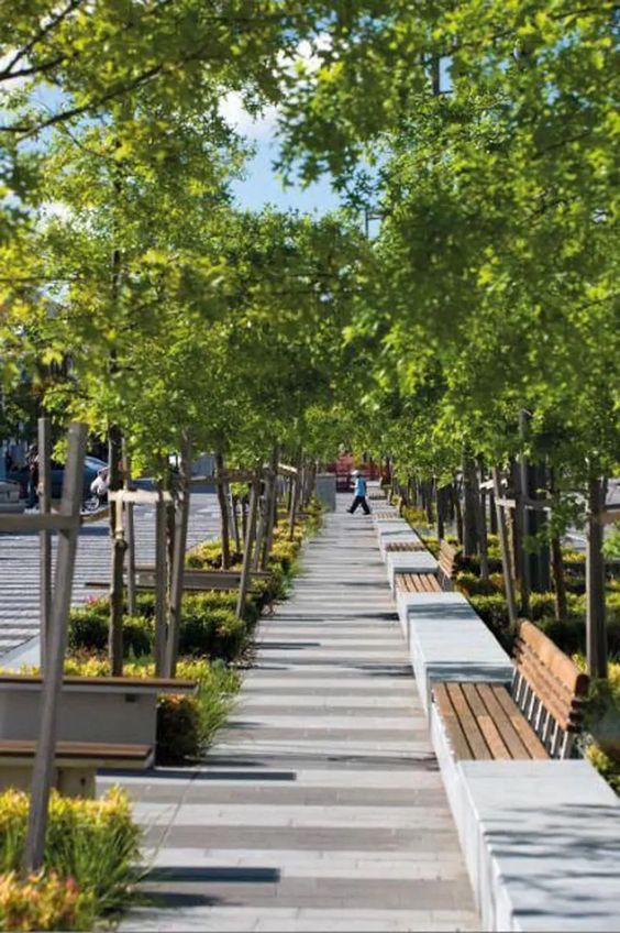 Tree-lined urban walkway with benches, perfect for a relaxing stroll and enjoying nature in the city.
