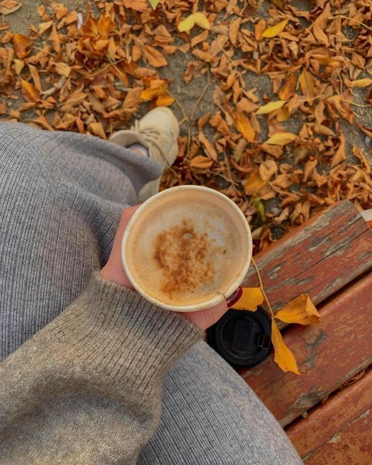 Cozy autumn scene: person holding a coffee cup on a bench surrounded by fallen leaves. Warm sweater vibes.