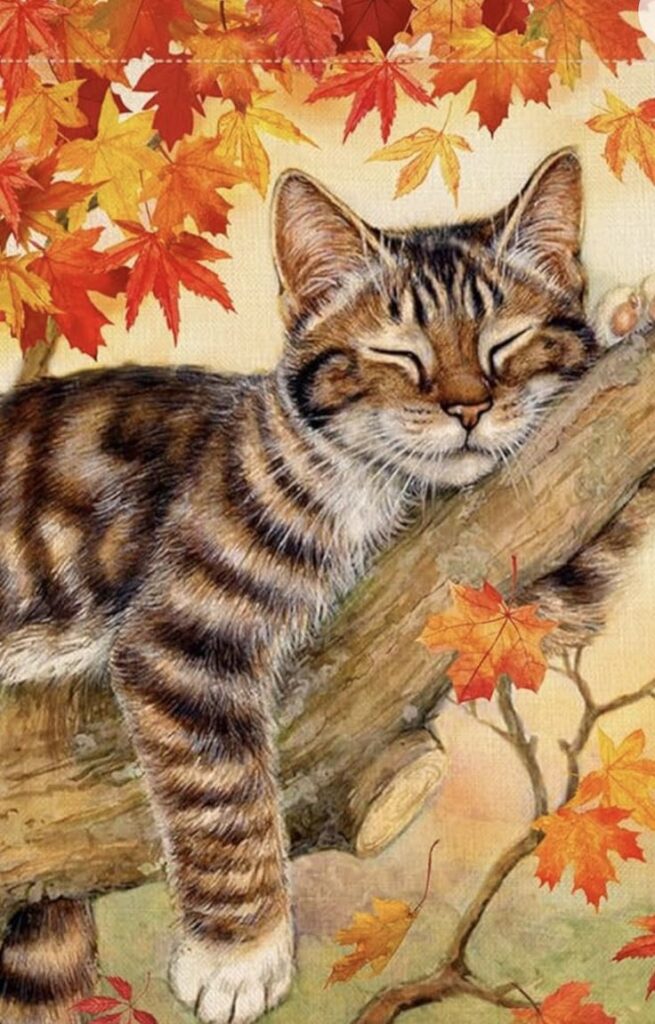 Sleepy tabby cat on branch surrounded by vibrant autumn leaves. Cozy fall vibe.