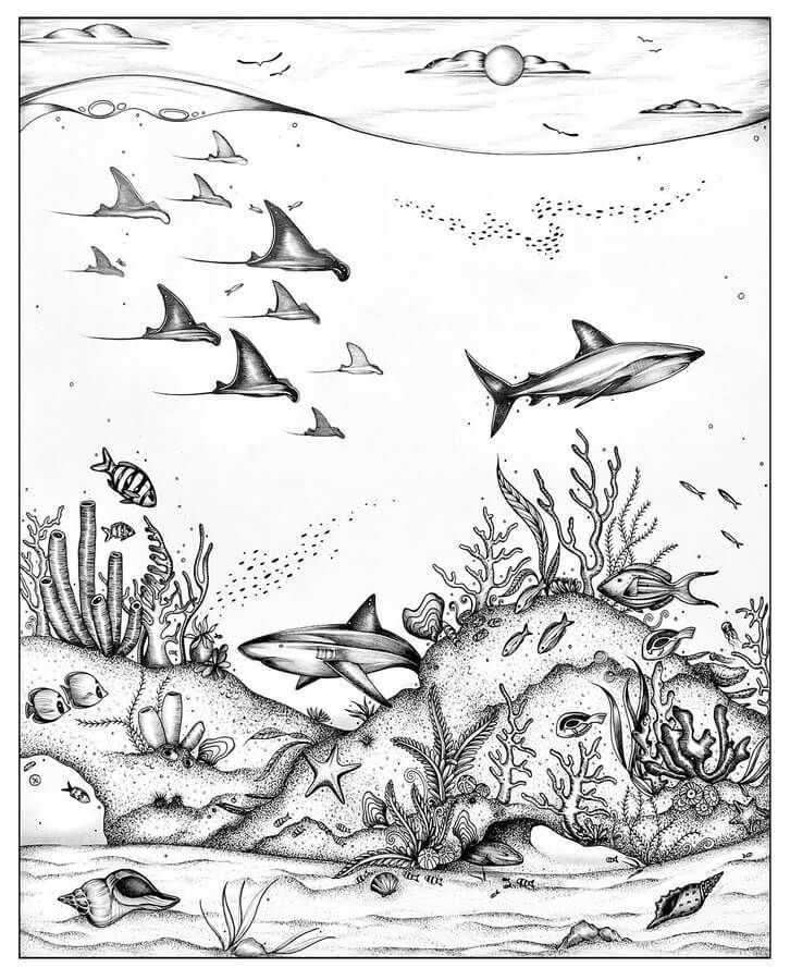Illustrated ocean scene with sharks, coral reef, and various sea creatures. Black and white undersea artwork.