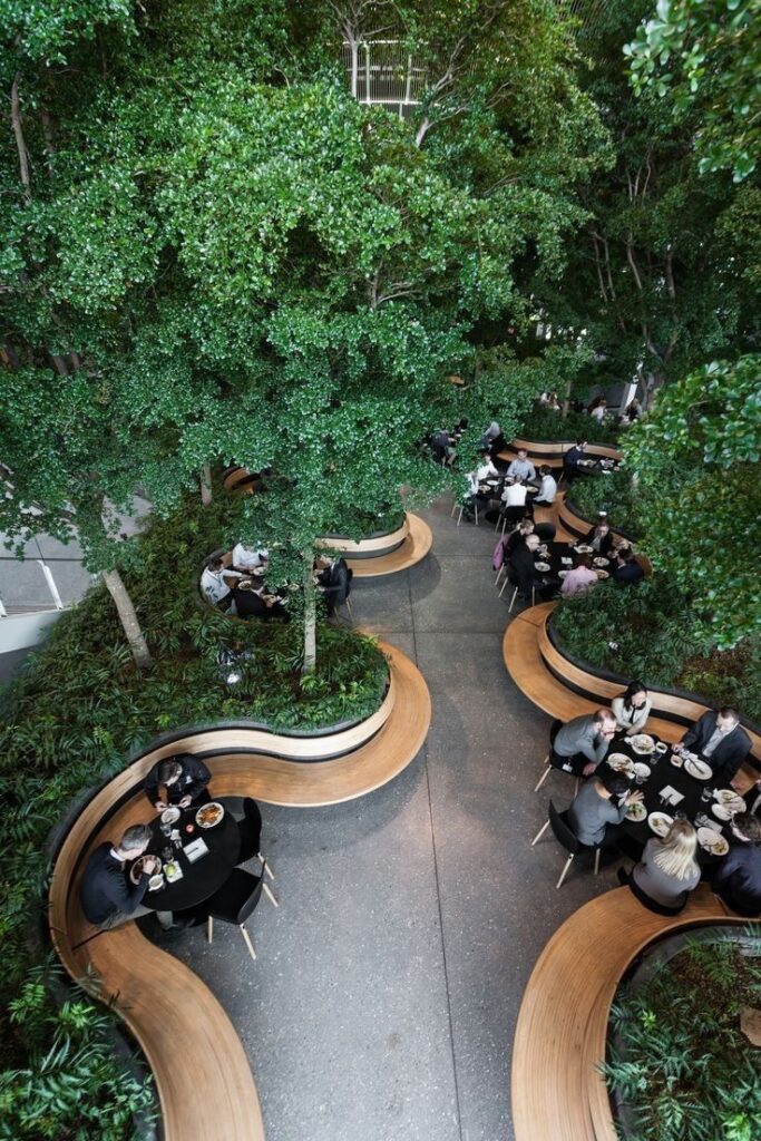 Aerial view of a green indoor dining area with curved benches and people enjoying meals among trees.