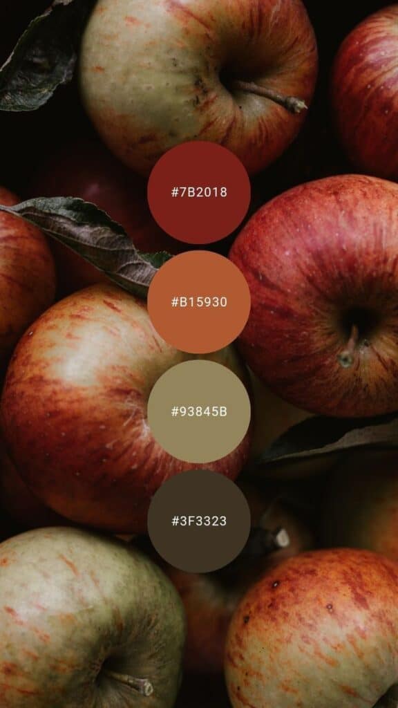 4390f4f2-bee2-47ed-97b6-7a5dc5a6b95a Red and green apples with color palette, including hex codes: #7B2018, #B15930, #93845B, #3F3323. | Sky Rye Design Red and green apples with color palette, including hex codes: #7B2018, #B15930, #93845B, #3F3323.