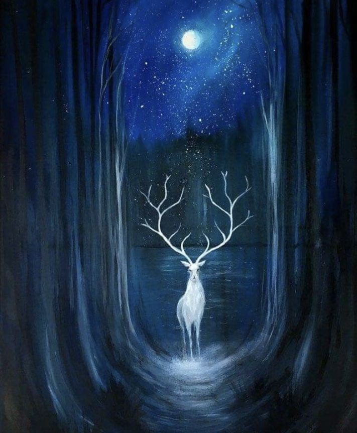 Mystical white stag under starry night sky in enchanted forest, illuminated by moonlight.