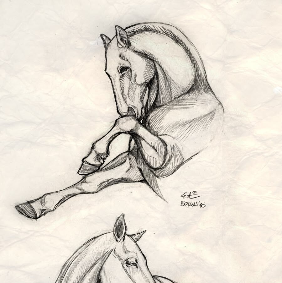 Pencil sketches of horses in resting positions on a textured background.