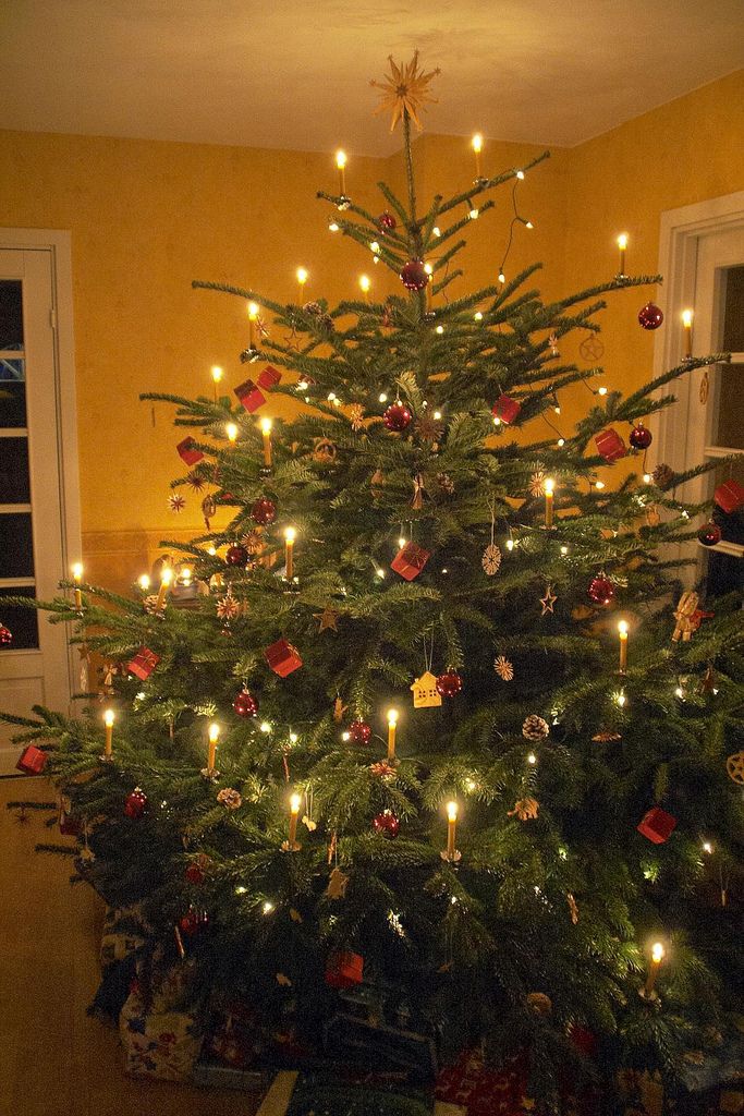 Christmas tree adorned with candles, red ornaments, and a gold star topper in a cozy living room.
