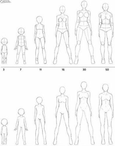 6177e59c-7535-42a1-af6c-ac30a5e5d8a1 Illustration showing human body proportions for ages 3 to 50, highlighting changes in anatomy and size through life stages. | Sky Rye Design Illustration showing human body proportions for ages 3 to 50, highlighting changes in anatomy and size through life stages.