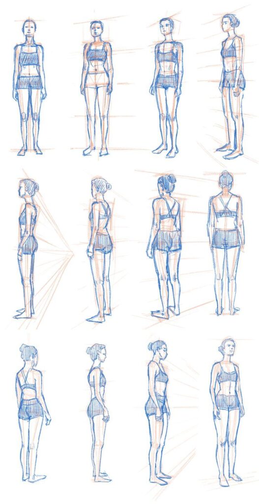 68fd4782-7702-4780-84fd-f20d63067453 Sketches of a female figure in various standing poses, highlighting human anatomy and proportions. | Sky Rye Design Sketches of a female figure in various standing poses, highlighting human anatomy and proportions.