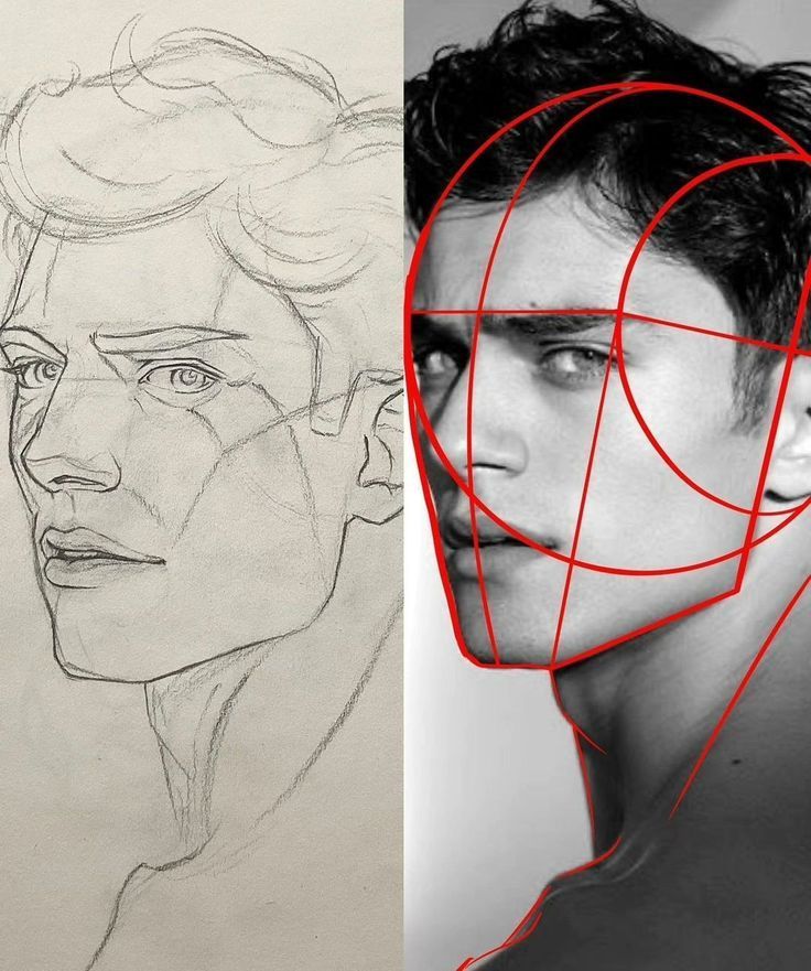 Side-by-side sketch and photo of a man's face, featuring facial structure guides in red lines.