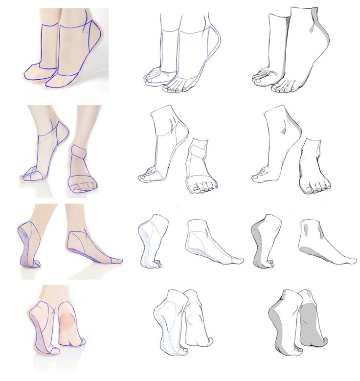 71c28c32-fb82-49b2-bff3-4e53e3752219 Illustration of foot and ankle sketches with detailed line art, showing various perspectives and poses. | Sky Rye Design Illustration of foot and ankle sketches with detailed line art, showing various perspectives and poses.