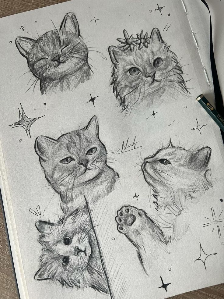 Pencil sketches of five cute cat faces and a paw, adorned with stars and floral accents on a notebook page.