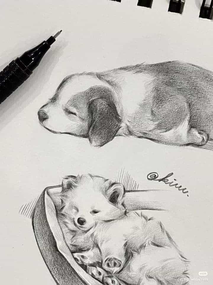 Sketch of two sleeping puppies, one fluffy in a basket, with a pen beside them on white paper.