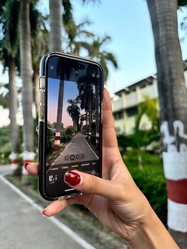 7e3e2f80-6df2-42d9-bfa8-b7916c1eb798 Hand holding a smartphone capturing a path lined with palm trees, showcasing photography in nature. | Sky Rye Design Hand holding a smartphone capturing a path lined with palm trees, showcasing photography in nature.