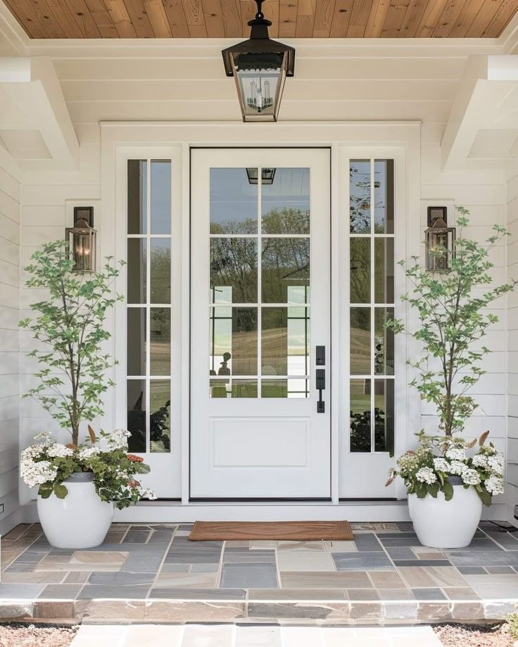 Charming white front door with glass panels, flanked by potted plants, set on a stone porch with wooden ceiling.