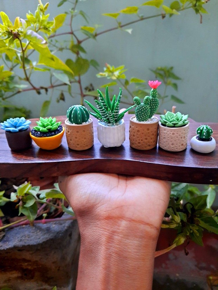 Hand holding a wooden plank with seven mini succulents in colorful pots, with greenery in the background.
