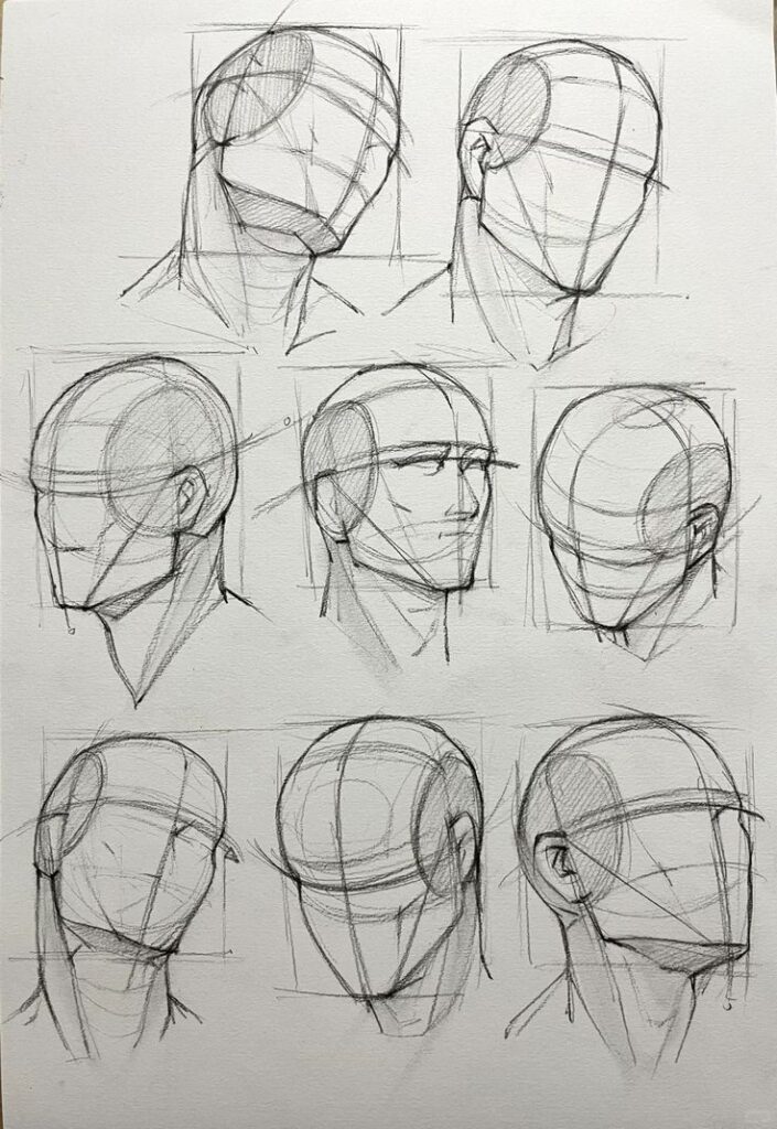 Sketches of anatomically outlined human heads from various angles for drawing practice.