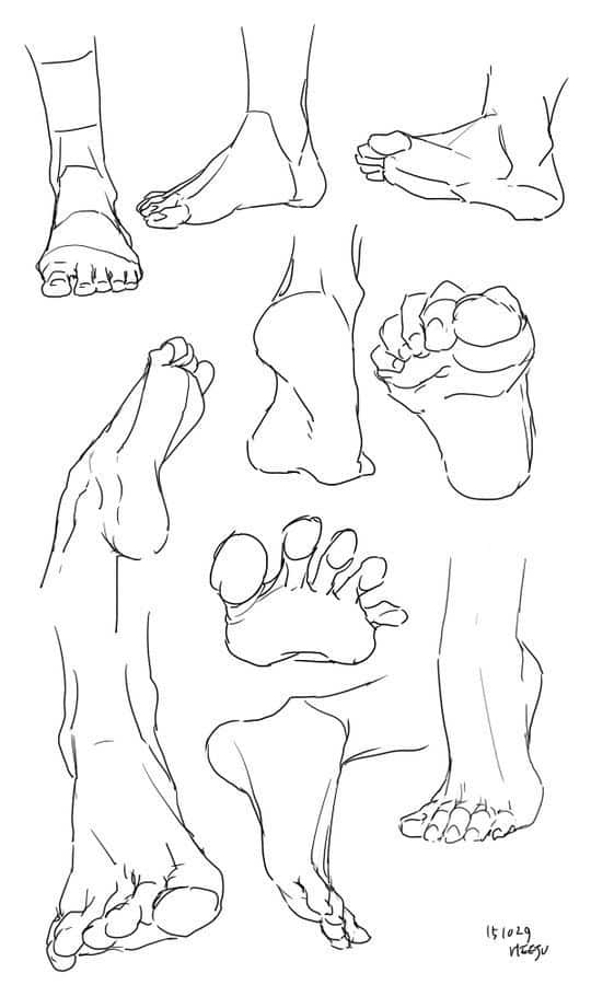 8436adf8-23e2-4f00-812f-79d99c0230cb Line drawing of different foot poses and angles for artistic reference. | Sky Rye Design Line drawing of different foot poses and angles for artistic reference.