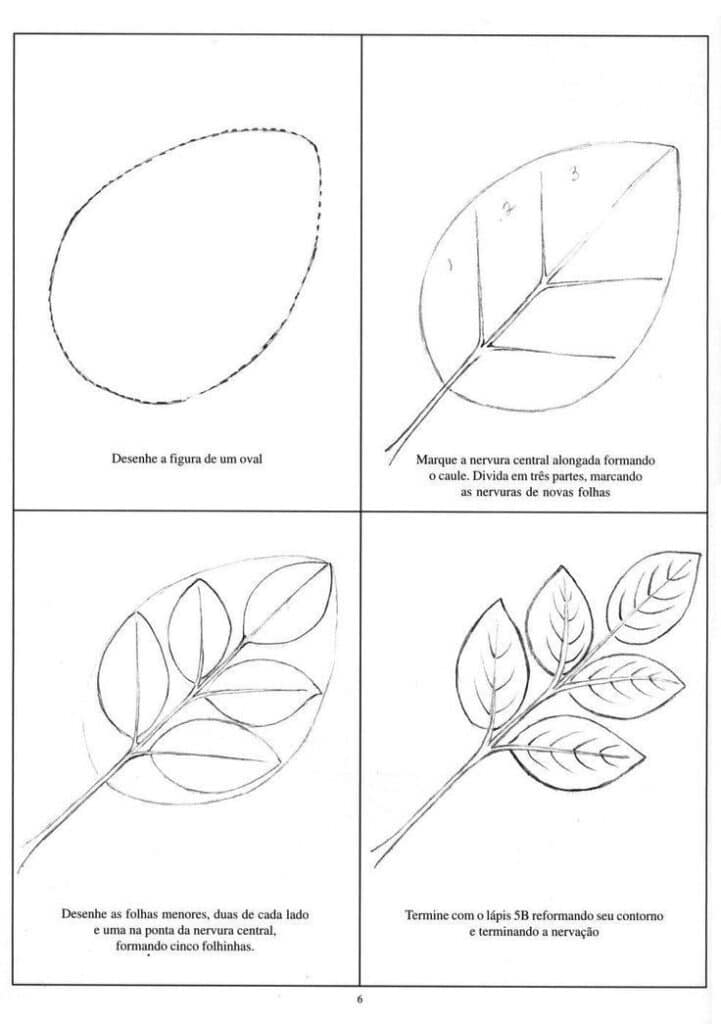 Step-by-step leaf drawing tutorial: creating an oval, adding veins, sketching smaller leaves, and refining with a 5B pencil.