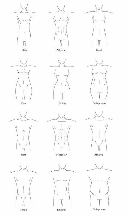90f5234a-1d17-4899-a804-3e82b5a90032 Illustration of various body types, including slim, athletic, toned, pear, guitar, voluptuous, and muscular shapes. | Sky Rye Design Illustration of various body types, including slim, athletic, toned, pear, guitar, voluptuous, and muscular shapes.