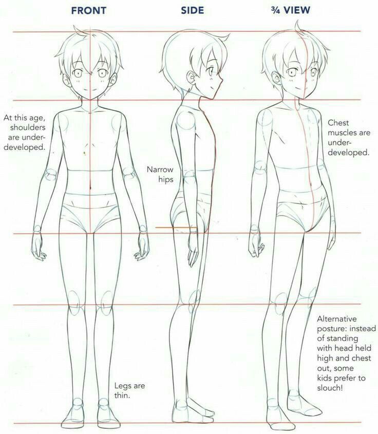 Anime character anatomy guide showing front, side, and 3/4 views with labels for proportions and posture.