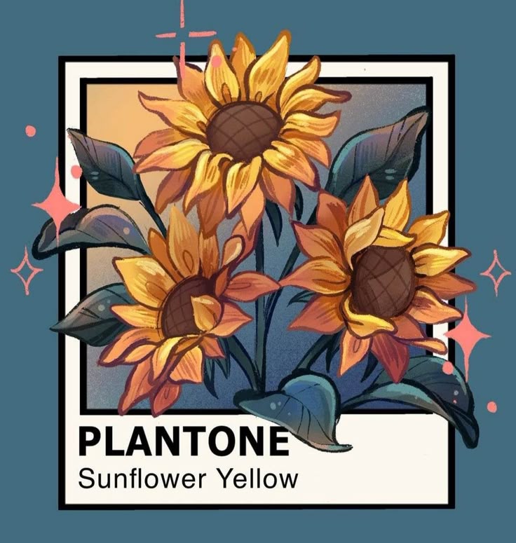 Illustrated sunflowers labeled Plantone: Sunflower Yellow with stylized leaves on a blue background.
