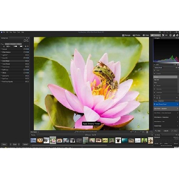 Photo editing software displaying a frog on a pink lotus blossom, with editing tools visible on the left and right panels.