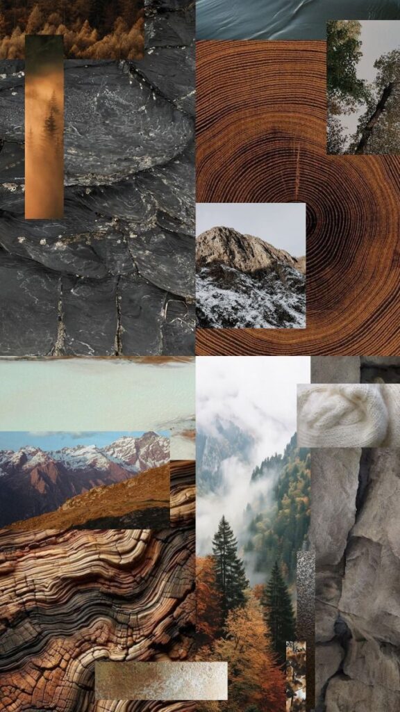Collage of nature textures: wood rings, misty forests, mountains, rocky surfaces, and cloudy skies.