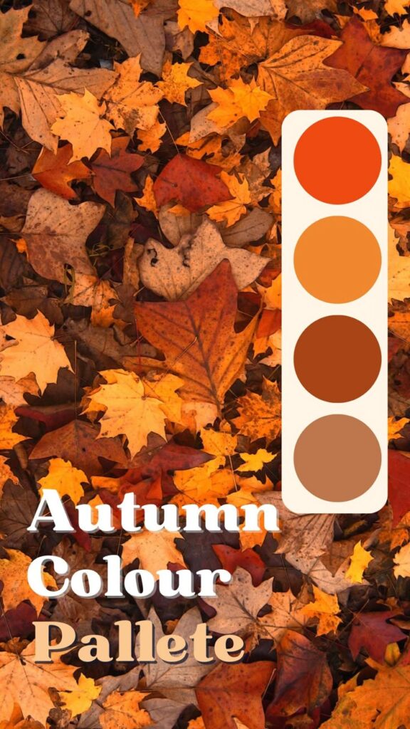 Autumn leaves in shades of orange and brown with a matching color palette. Text: Autumn Colour Pallete.