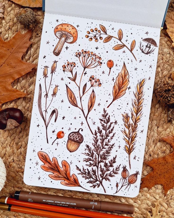 Autumn-themed sketchbook page with mushrooms, leaves, acorns, and berries. Cozy fall illustrations on recycled paper.