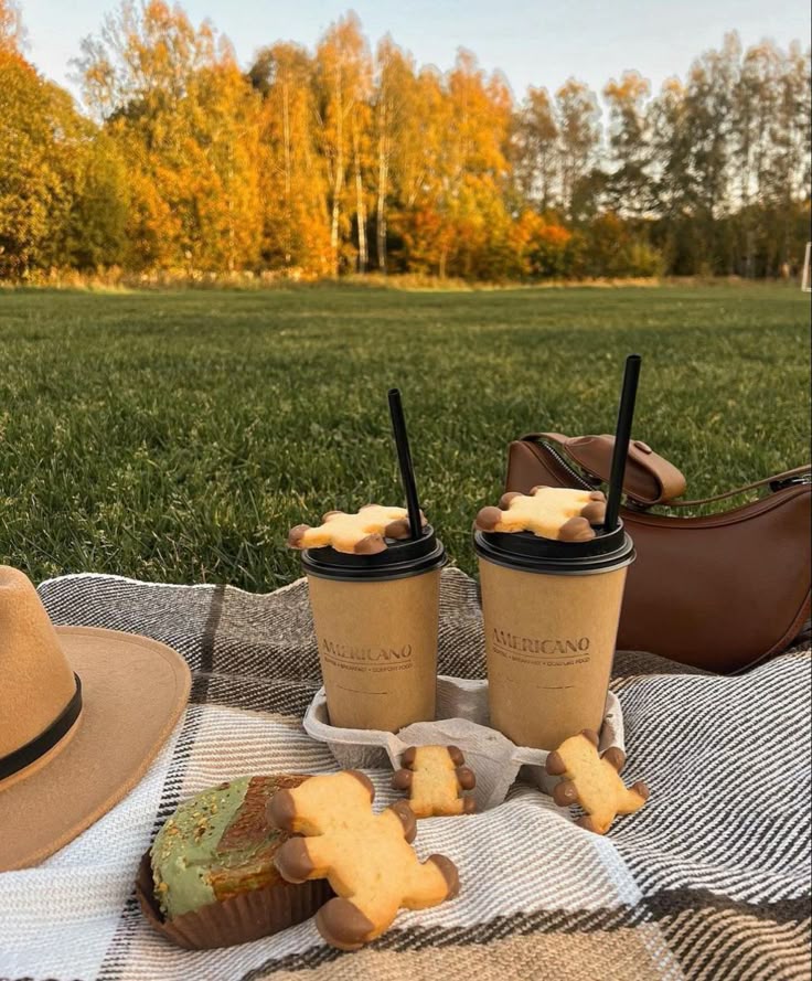 Autumn picnic scene with coffee, gingerbread cookies, and pastries on a checkered blanket in a park.