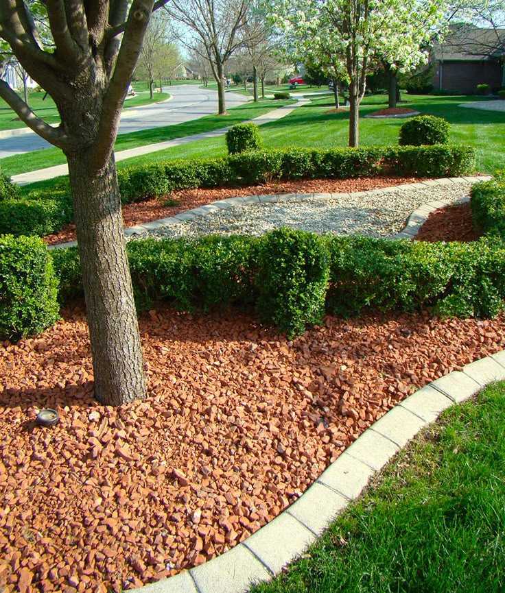 Beautifully landscaped garden with a tree, red mulch, and hedges on a sunny street corner.