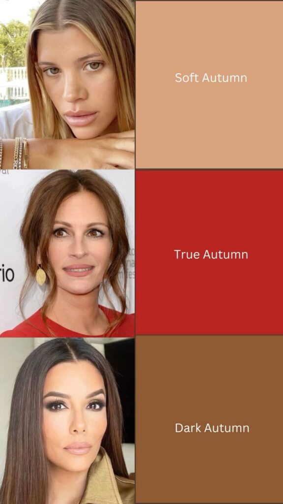 Three women illustrating Soft, True, and Dark Autumn color palettes. Perfect for seasonal color analysis.