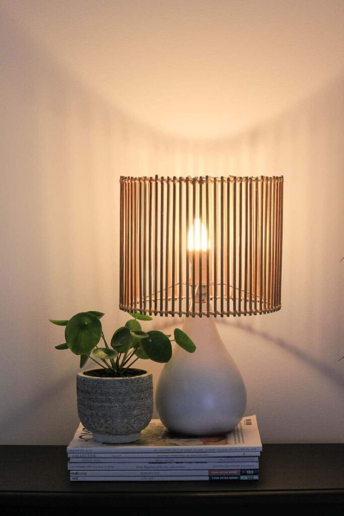 Stylish table lamp with a unique wooden shade next to a small potted plant on stacked magazines.