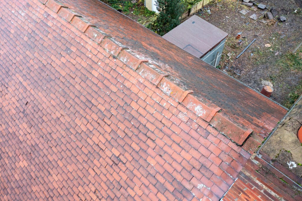 Red clay roof tiles from above with signs of wear and lichen growth, adjacent to a garden area.