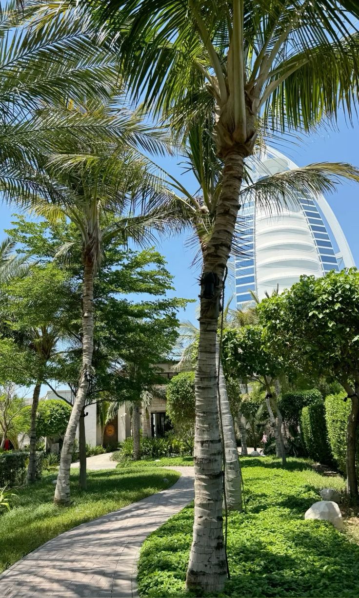 Lush garden path with palm trees leading to modern building under clear blue sky.