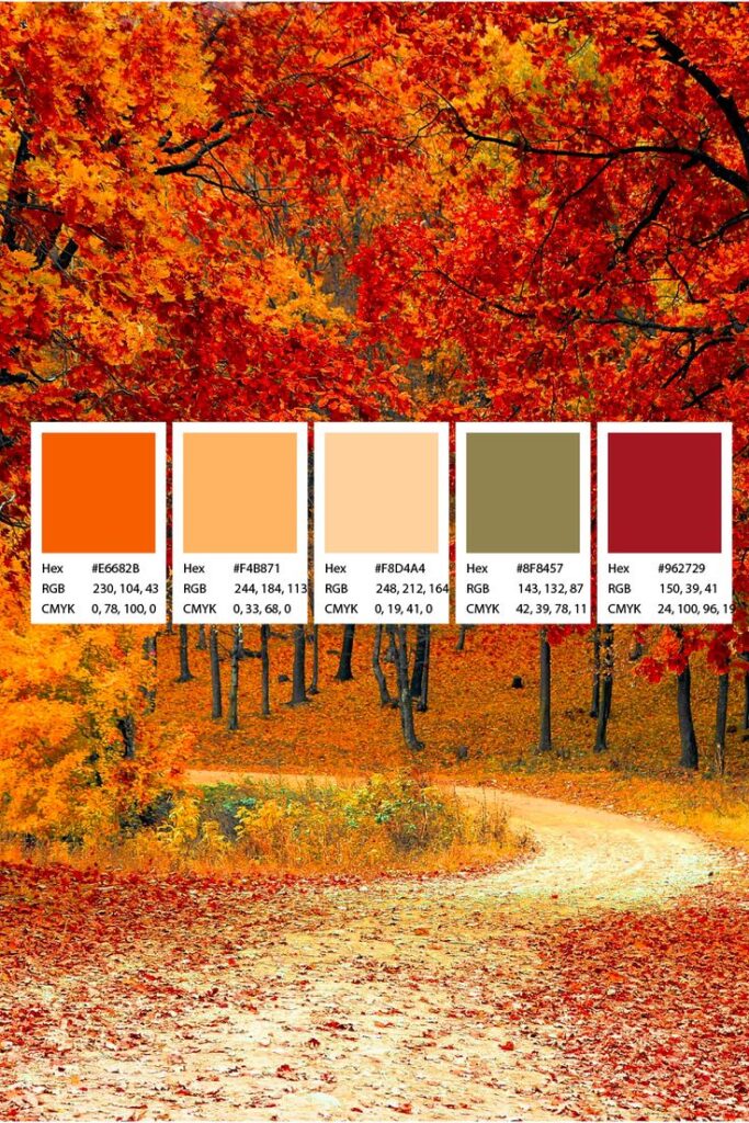How Effective Color Choices Enhance Logo & Brand Identity