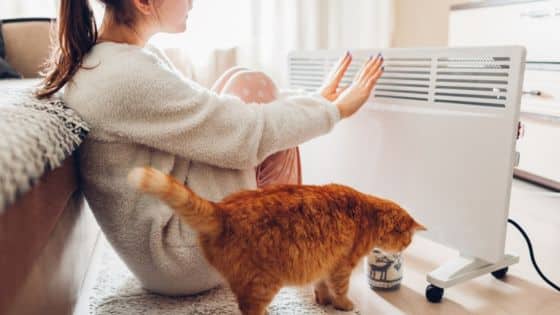 Family-Friendly Heating With Safe Furnace Installations Woman in cozy pajamas warming hands by electric heater, with an orange cat nearby. | Sky Rye Design Woman in cozy pajamas warming hands by electric heater, with an orange cat nearby.