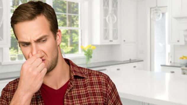 Fishy Smell 7 Other Home Odors That Could Be Signs of Danger - Todays Homeowner Man in kitchen holding nose, indicating an unpleasant smell. Bright, modern kitchen setting with sunlight and flowers. | Sky Rye Design Man in kitchen holding nose, indicating an unpleasant smell. Bright, modern kitchen setting with sunlight and flowers.