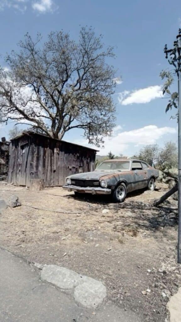 Abandoned vintage car next to a wooden shed under a tree with a clear blue sky.