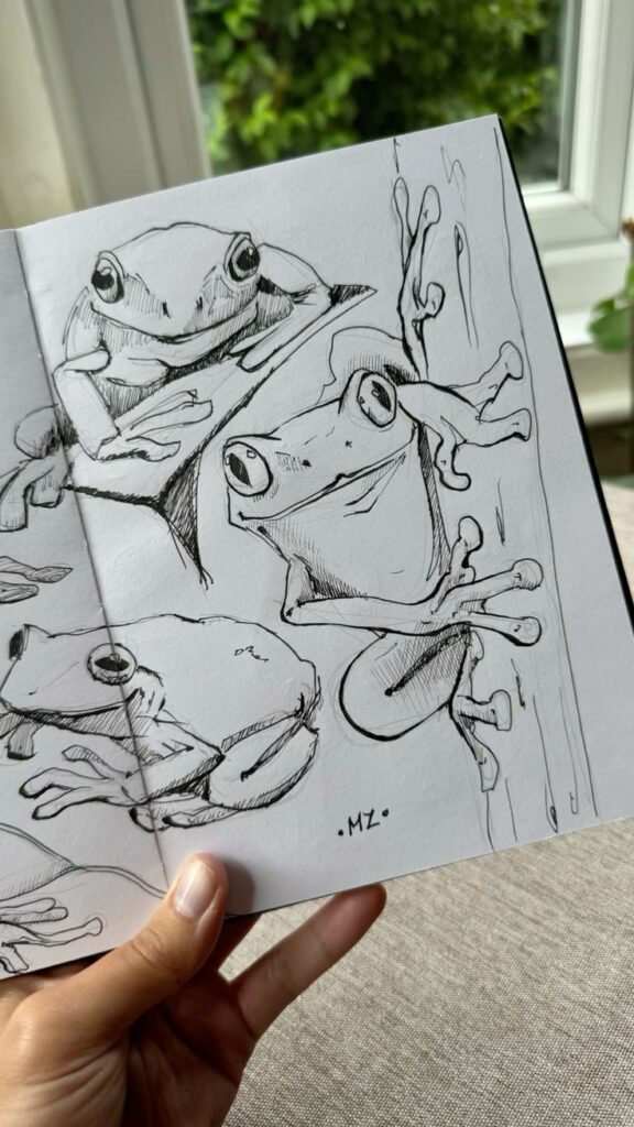 Hand-drawn tree frog sketches in a notebook, held up near a window with greenery outside.