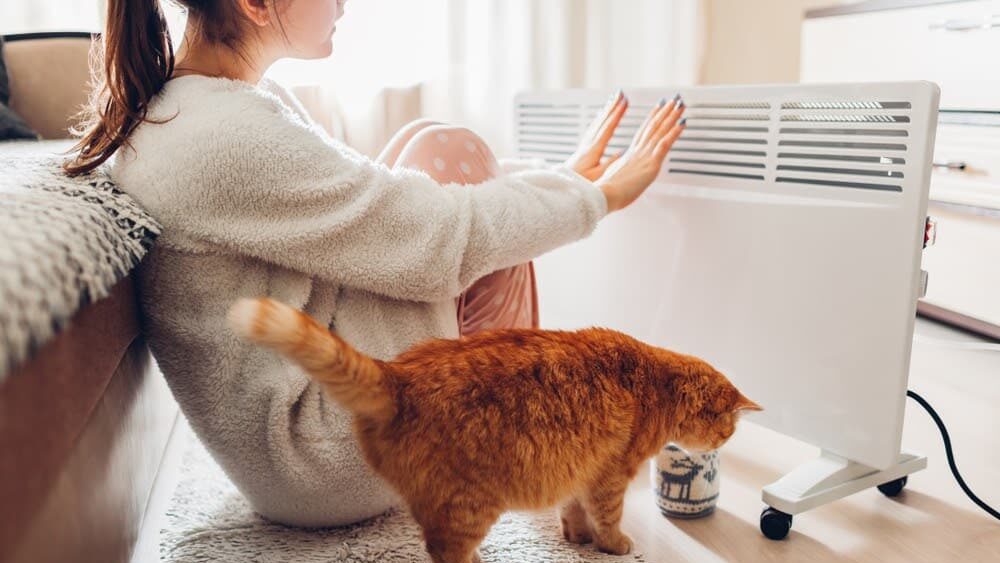 HeatingSystemsForHomeHeader Woman in cozy pajamas keeping warm by heater, with a curious orange cat nearby on a rug. | Sky Rye Design Woman in cozy pajamas keeping warm by heater, with a curious orange cat nearby on a rug.